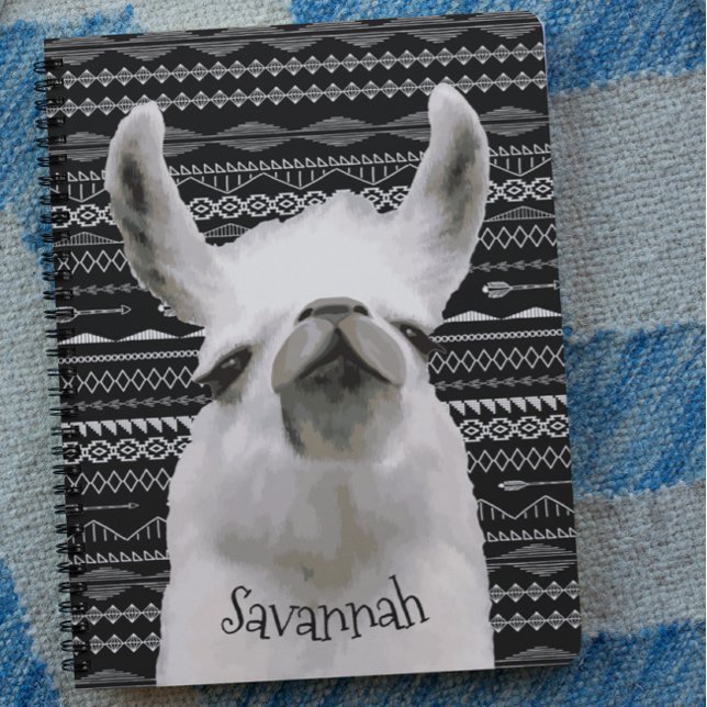Moma Llama Notebook (Creator Uploaded)
