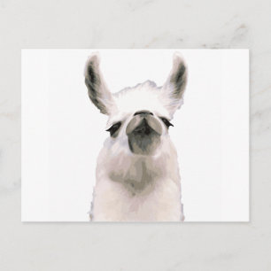 Moma Llama Postcard