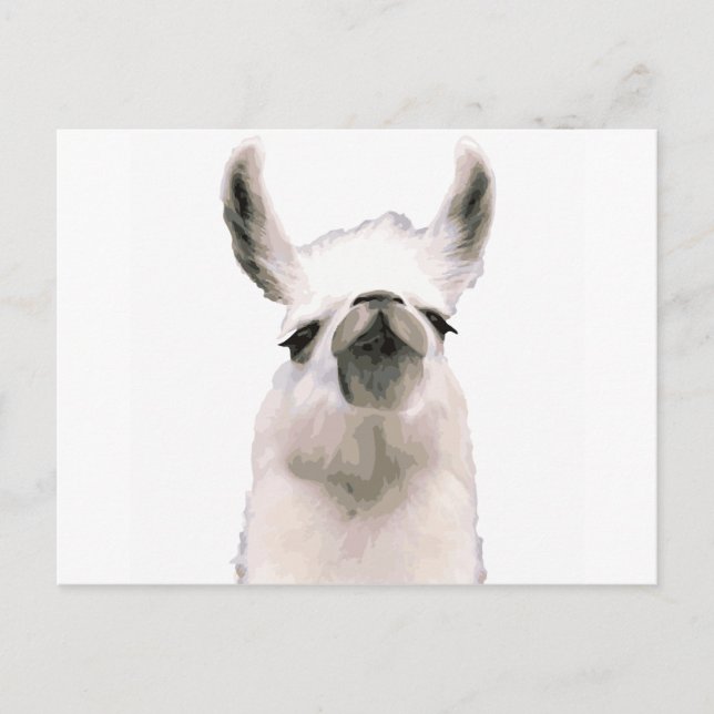 Moma Llama Postcard (Front)
