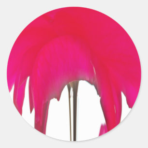 Moment Captured: A Red Rose Petal Elegance Classic Round Sticker