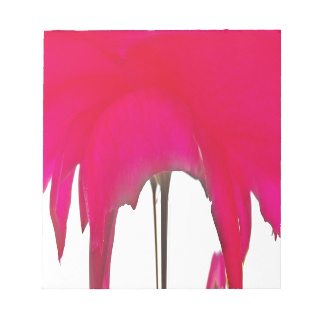 Moment Captured: A Red Rose Petal Elegance Notepad (Front)