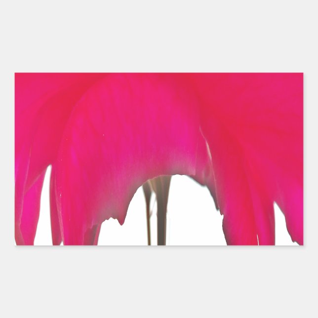 Moment Captured: A Red Rose Petal Elegance Rectangular Sticker (Front)