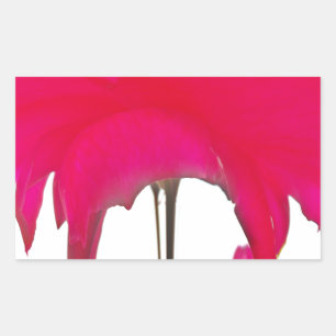 Moment Captured: A Red Rose Petal Elegance Rectangular Sticker