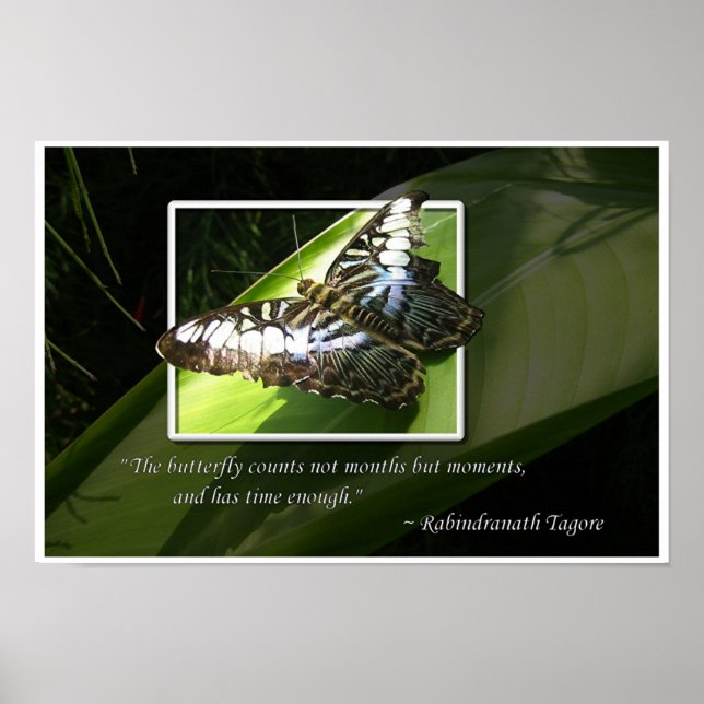 Moments in Time Poster (Front)