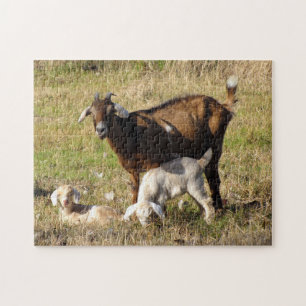 Momma and Baby Goats Puzzle