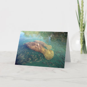 Momma and Baby Manatee Greeting Card