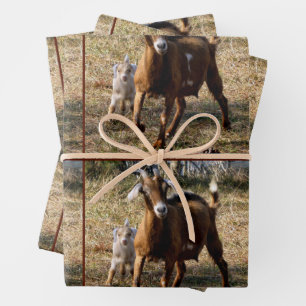 Momma and Kid Goat Wrappping Paper Sheets