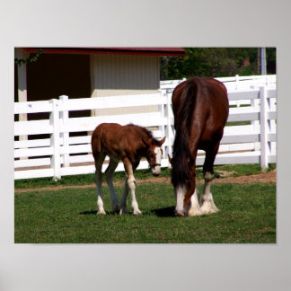 Momma-Baby Poster