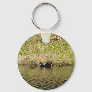 Momma Muscovy and Baby Ducks Keychain
