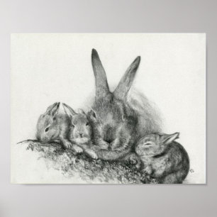Momma Rabbit With Baby Bunnies Pencil Drawing Poster