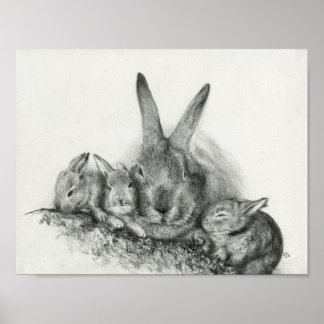 Momma Rabbit With Baby Bunnies Pencil Drawing Poster