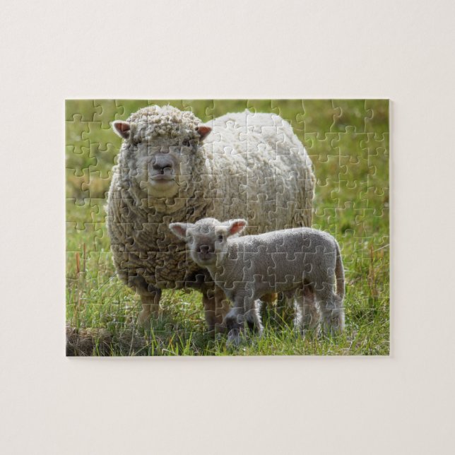 Momma's Baby Lamb  Jigsaw Puzzle (Horizontal)