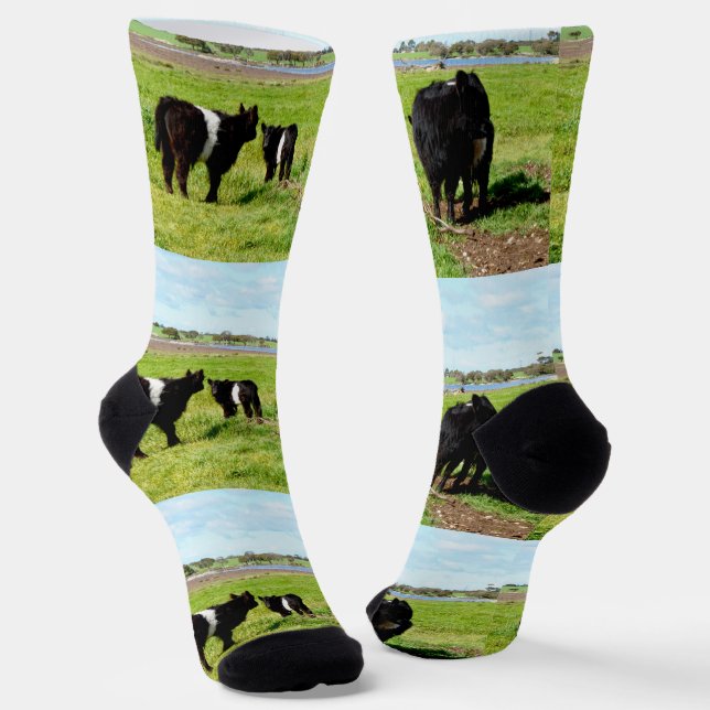 Mommy And Babies Galloway Cow, Crew Socks (Angled)