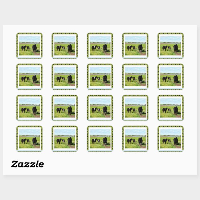 Mommy And Baby Belted Galloway Cows, Square Sticker (Sheet)