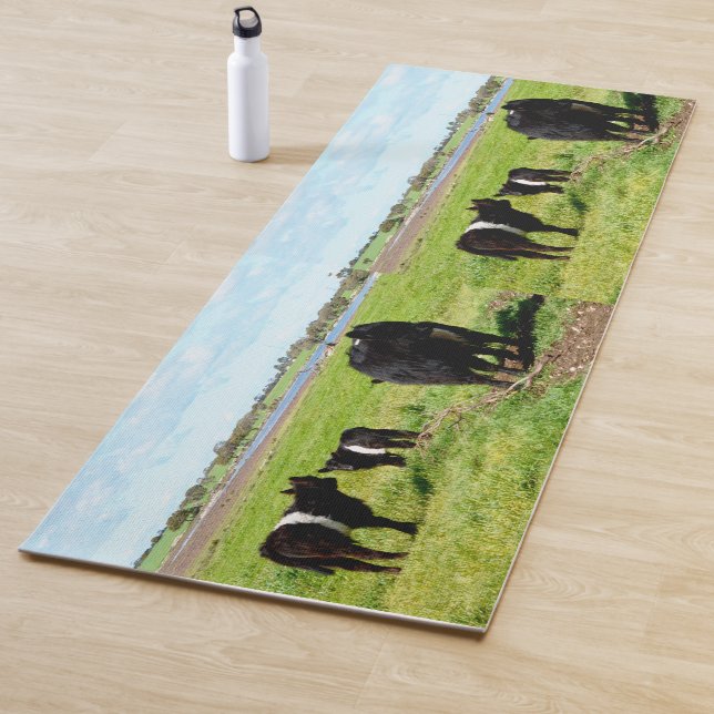 Mommy And Baby Belted Galloway Cows, Yoga Mat (In Situ)
