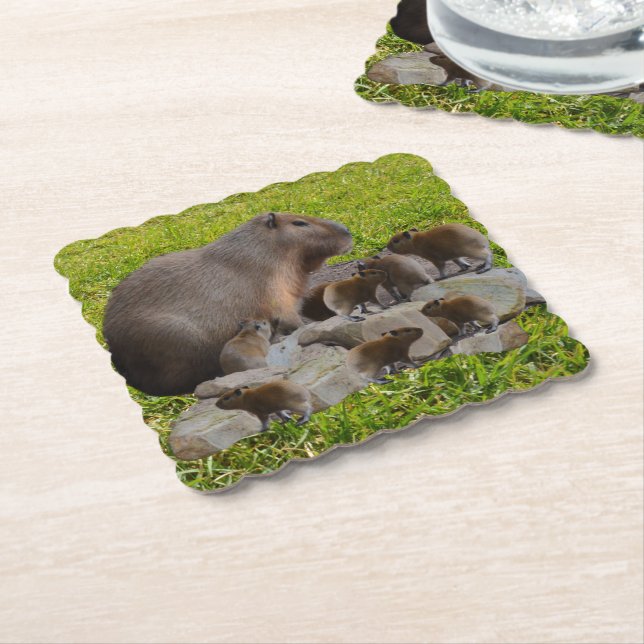 Mommy And Baby Capybaras, Paper Coaster (Angled)