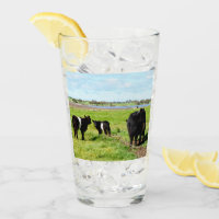 Mommy And Baby Galloway Cow, Drink Glass