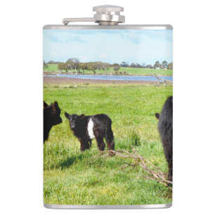 Mommy And Baby Galloway Cow, Hip Flask