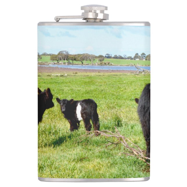 Mommy And Baby Galloway Cow, Hip Flask (Front)