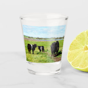Mommy And Baby Galloway Cow, Shot Glass