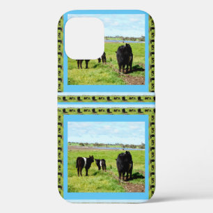 Mommy And Baby Galloway Cows, iPhone 12 Case