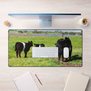 Mommy And Baby Galloway Cows, Desk Mat