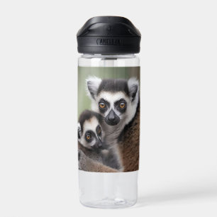 Mommy And Baby Lemur Cuddling, Water Bottle