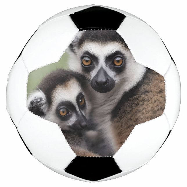 Mommy And Baby Lemur Having A Cuddle, Football (Front)