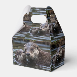 Mommy And Baby Otter Having A Cuddle In The River, Favour Box