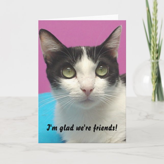 Momo - I'm glad we're friends! Blank Card (Front)