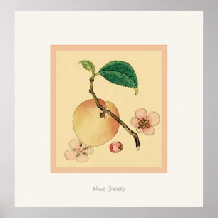 Momo (Peach) ~ Vintage Japanese Fine Art Print
