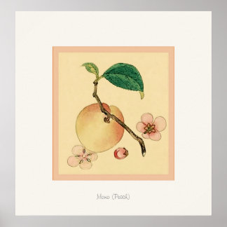 Momo (Peach) ~ Vintage Japanese Fine Art Print