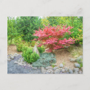 Momotaro Japanese Garden 3 Postcard