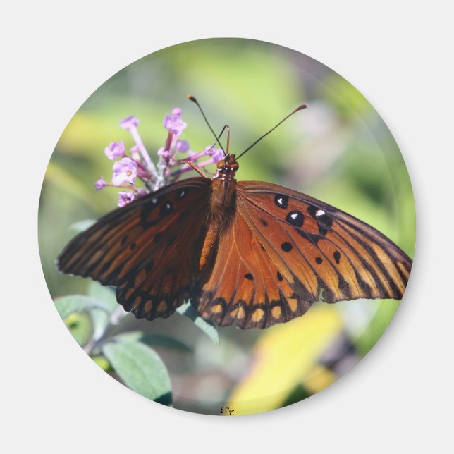 Moms Choice Magnet (Front)