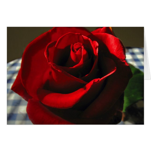 Moms Red Rose (Front Horizontal)
