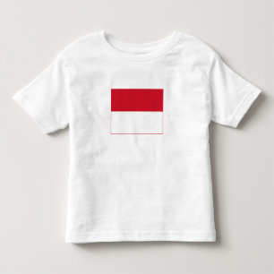 Monaco Flag Toddler T-Shirt