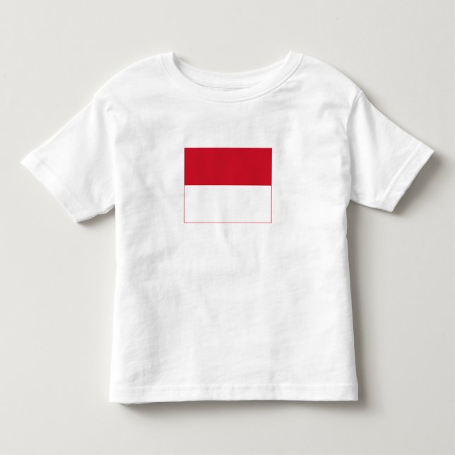 Monaco Flag Toddler T-Shirt (Front)