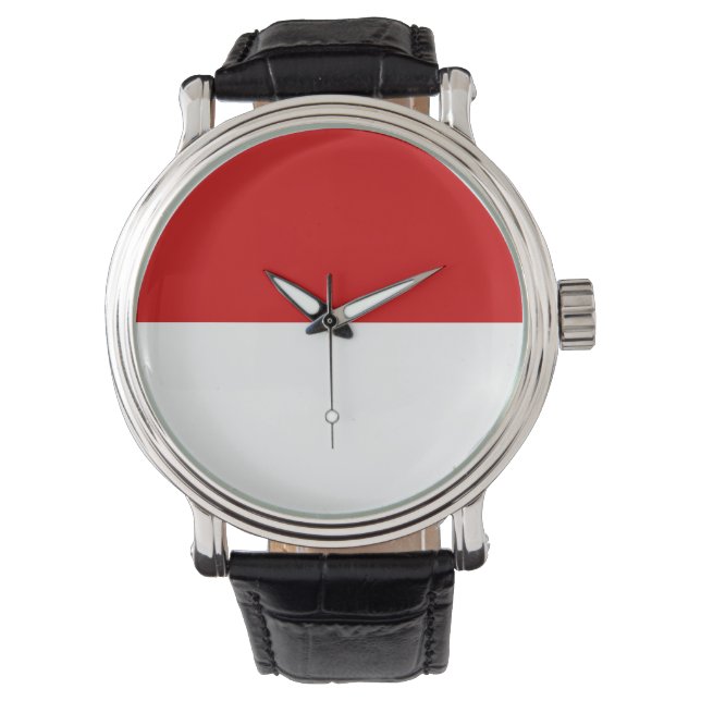 Monaco Montre - Monaco Watch (Front)