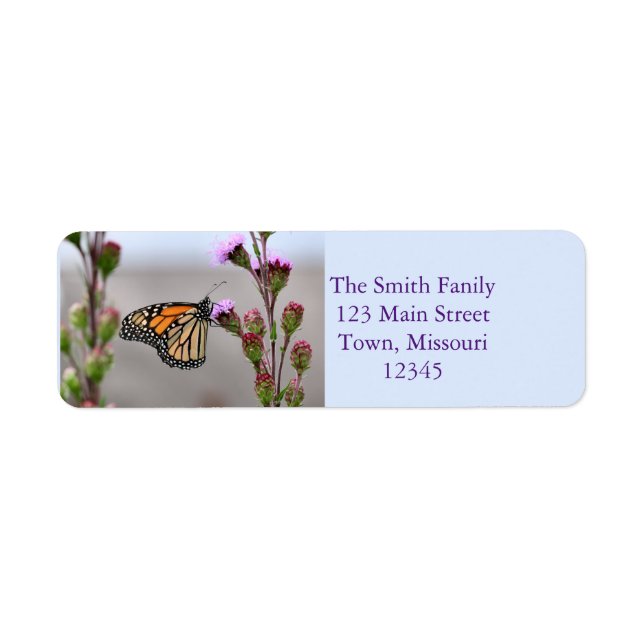 Monarch (Front)