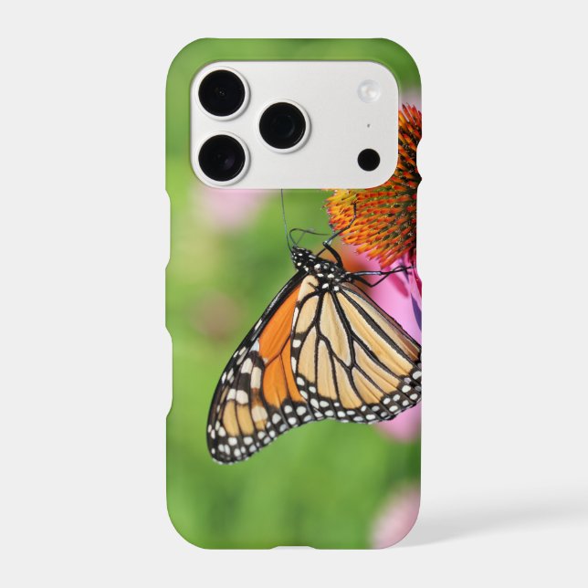 Monarch (Back)