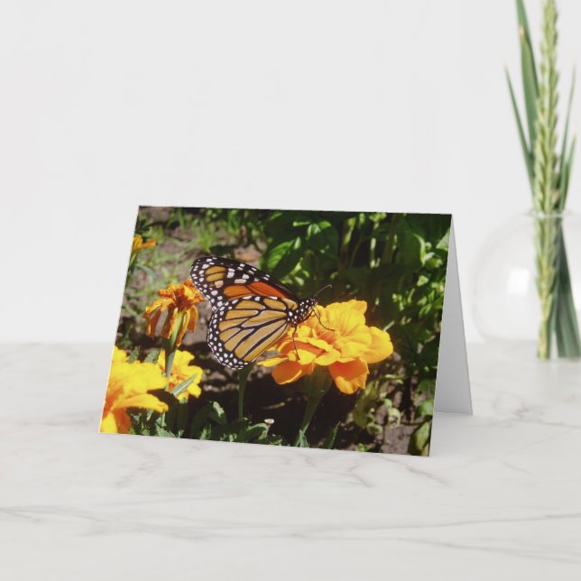 "Monarch At Lunch" Get Well Card (Front)