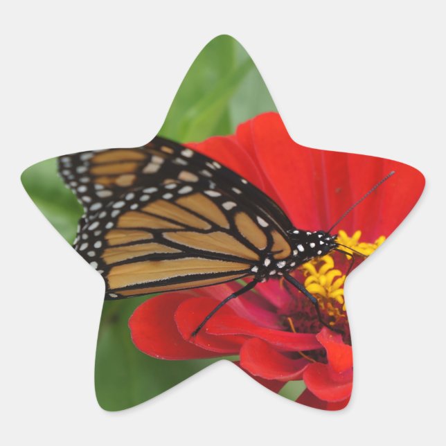 Monarch Beauty Star Sticker (Front)