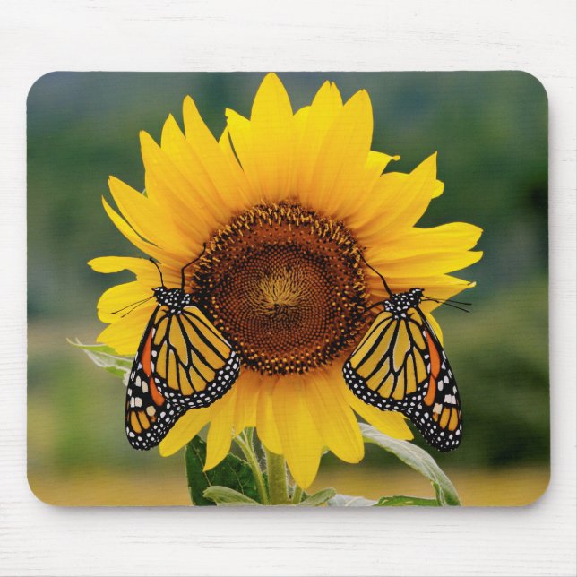 Monarch Butterfies on Sunflower Mouse Mat (Front)