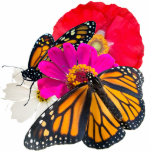 Monarch Butterflies and Flowers Sculpture Standing Photo Sculpture<br><div class="desc">A beautiful addition to your table or shelf. Monarchs remind us that God is with us and in control. Trust God.</div>