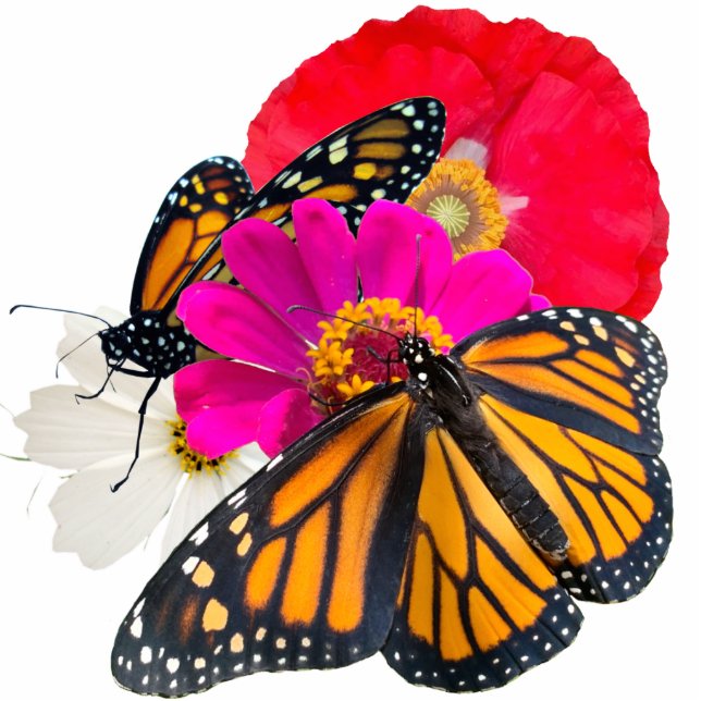 Monarch Butterflies and Flowers Sculpture Standing Photo Sculpture (Front)