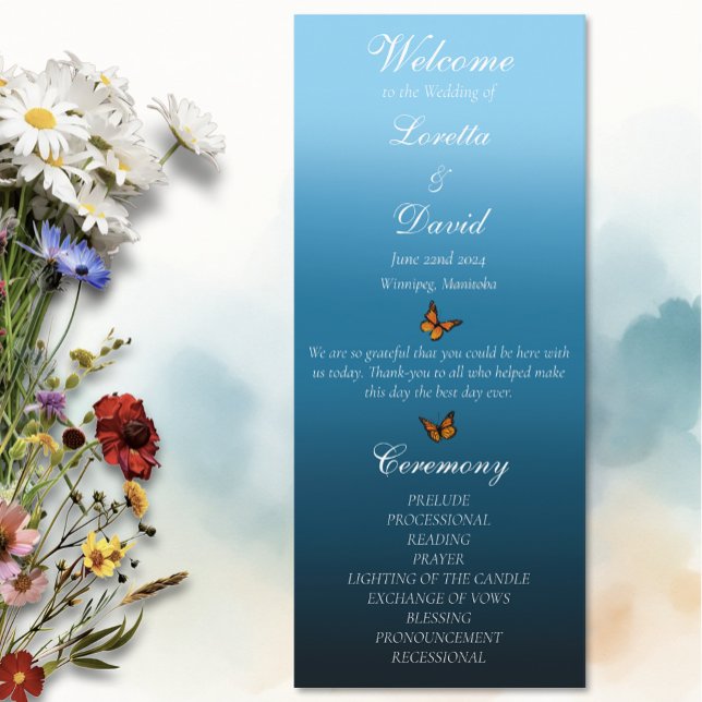 Monarch Butterflies Blue Ombre Programme (Creator Uploaded)