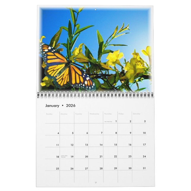 Monarch Butterflies Calendar (Jan 2026)