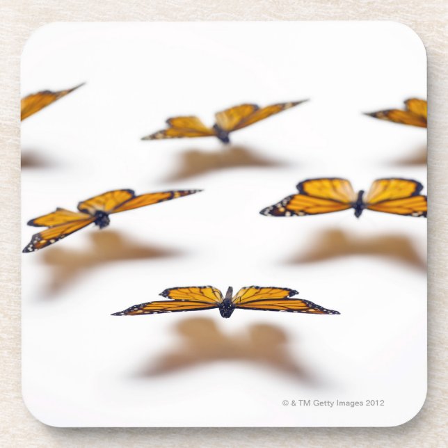 Monarch Butterflies Coaster (Front)