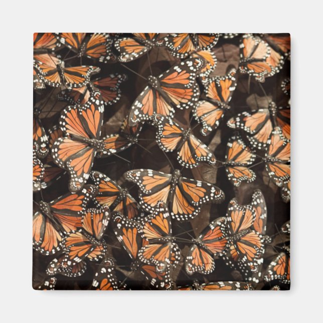 Monarch Butterflies Magnet (Front)