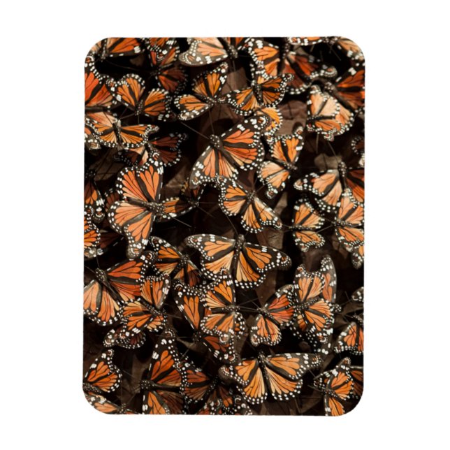 Monarch Butterflies Magnet (Vertical)